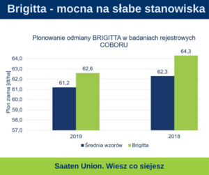 Źródło: Brigitta. Synteza wyników doświadczeń rejestrowych zbóż jarych COBORU, 2019, A2
