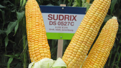 SUDRIX DS0527C
