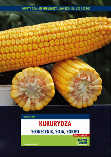 Katalog kukurydza 2024